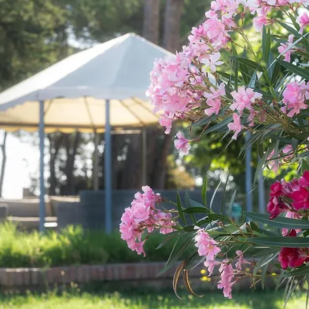 Farm stay Poste Del Chiugi *