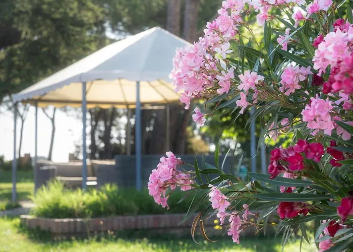 Vakantieboerderij Poste Del Chiugi *