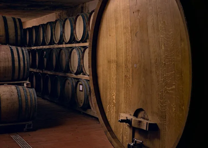 Vakantieboerderij Poste Del Chiugi